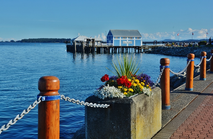 The Sidney harbor